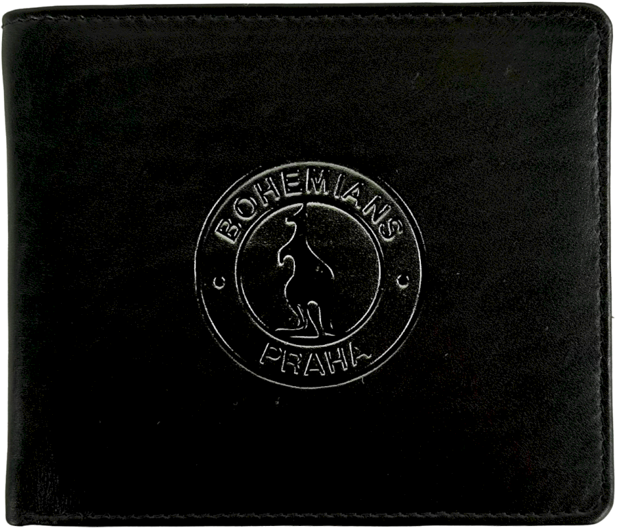 1748-penezenka kozena cerna